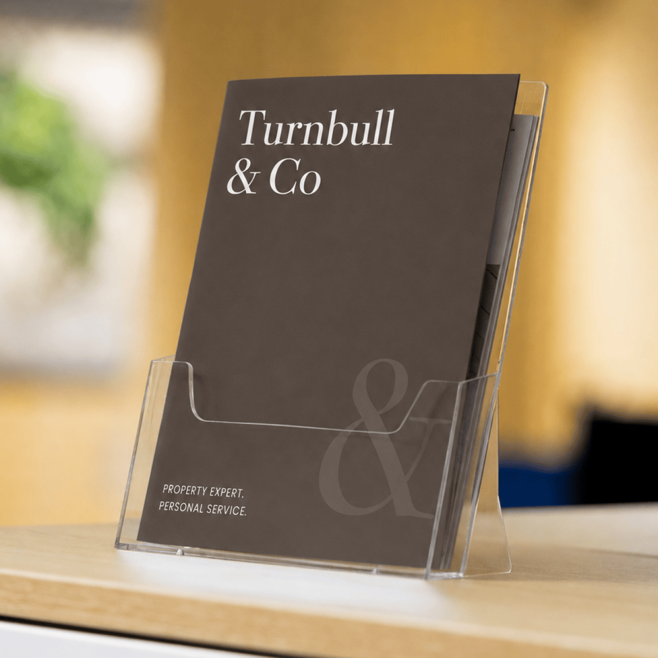 Estate agent brand guidelines and printed marketing brochure for a property business.